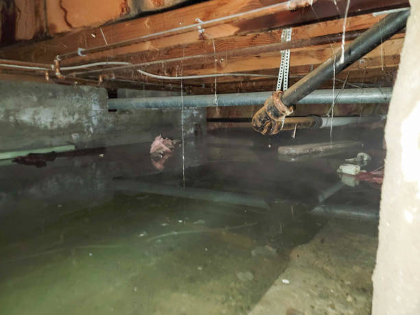 Best 24/7 water damage repair  in Badger, AK