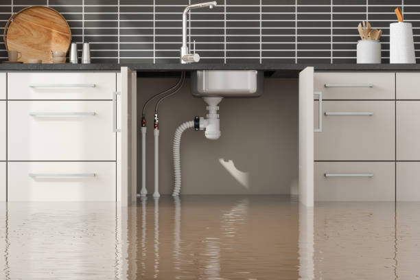 Best Flood damage cleanup  in Badger, AK